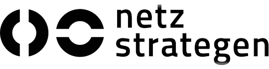 Netzstrategen Logo